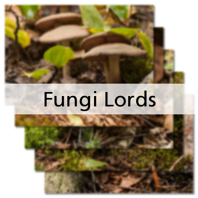 Fungi Lords