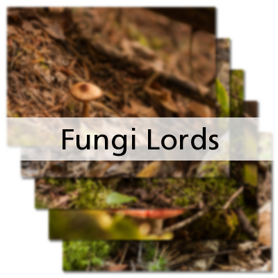 Fungi Lords